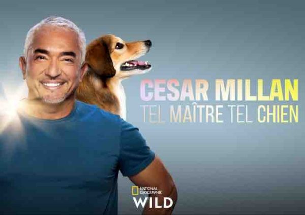 NGW : «Cesar Millan: Tel Maître, Tel Chien» revient pour une 2ème saison dès le 14 octobre