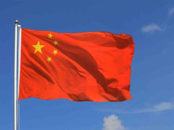 Chine : la jeunesse solitaire se console avec des animaux robots dotés d’IA
