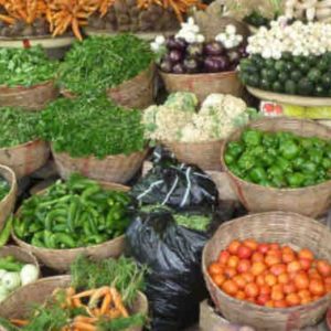 France 24 : programmation spéciale dimanche 16 octobre à l’occasion de la journée mondiale de l’alimentation