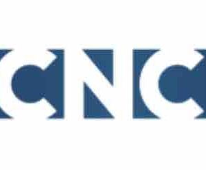 CNC : Nora Hamzawi nommée présidente de la commission d’aide aux créateurs vidéo sur internet (CNC Talent)