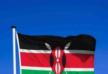 Kenya: un logiciel espion installé sur les téléphones de cinéastes arrêtés en mai, selon le Comité pour la protection des journalistes