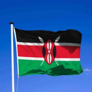 Kenya: un tribunal se déclare compétent pour juger du licenciement de 183 modérateurs de contenu sur Facebook par un sous-traitant de Meta