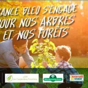 France Bleu s’engage pour nos arbres et nos forêts le 25 novembre