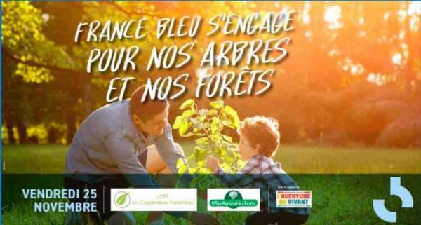 France Bleu s’engage pour nos arbres et nos forêts le 25 novembre