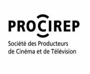 28ème Prix du producteur français de télévision : les sociétés nommées