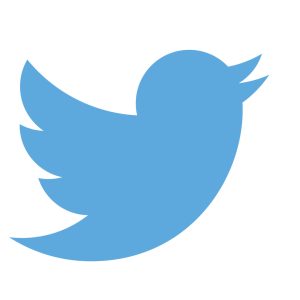 Twitter : sans certification payante les «réseaux sociaux péricliteront» 