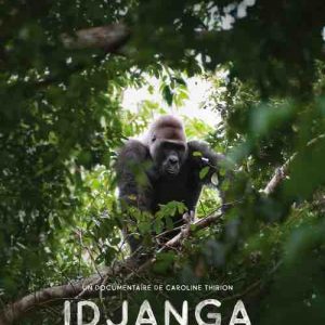 GEDEON Media Group : le documentaire «Idjanga, la forêt aux gorilles» au Festival du film de Masuku