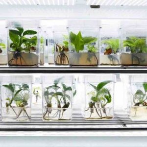 CES : la technologie au service de l’environnement gagne du terrain