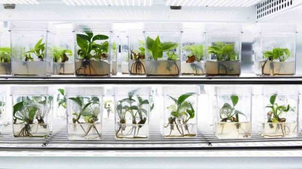 CES : la technologie au service de l’environnement gagne du terrain