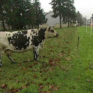France télévisions: le tournage d’une nouvelle série télé sur un lycée agricole prévu en Bretagne en avril prochain