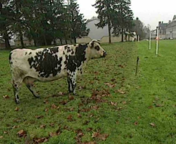 France télévisions: le tournage d’une nouvelle série télé sur un lycée agricole prévu en Bretagne en avril prochain