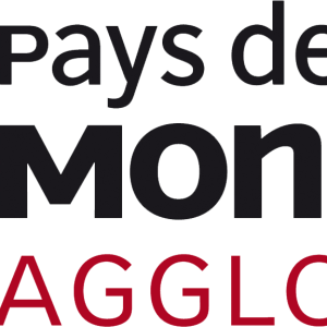 L’agglomération de Montbéliard reçoit le label de la «Capitale française de la culture 2024» 