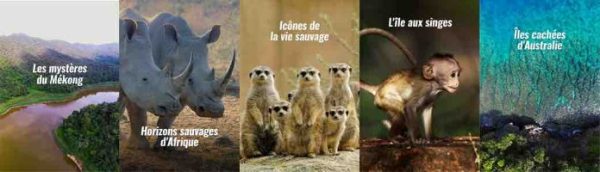 Pluto TV Animaux et Pluto TV Nature font le plein de documentaires en janvier