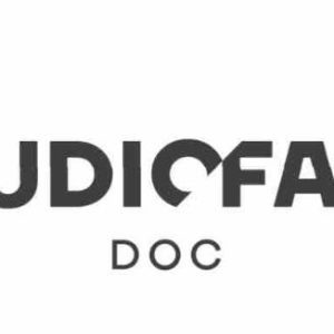 StudioFact Media Group recrute Alexandre Ifi pour diriger son pôle documentaire