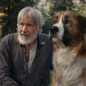TF1 : «L’appel de la forêt», leader du Prime dimanche