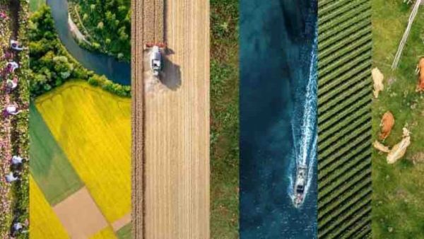 France 3 : les antennes régionales au Salon International de l’Agriculture du 25 février au 5 mars
