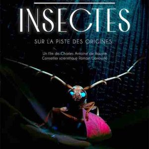 France 5 : «Mystérieux insectes, sur la piste des origines» jeudi 9 février