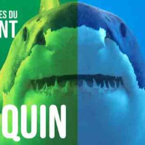 France Culture : le nouveau podcast original «Mécaniques du vivant», saison 2, dès le 17 février