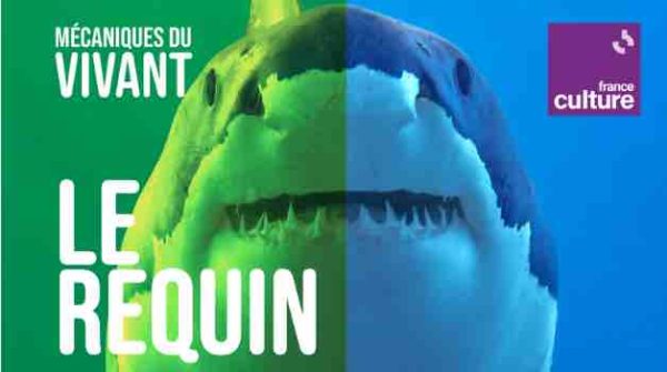 France Culture : le nouveau podcast original «Mécaniques du vivant», saison 2, dès le 17 février
