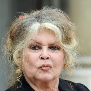 France 2 : Brigitte Bardot devient l’héroine d’une série qui raconte sa vie 
