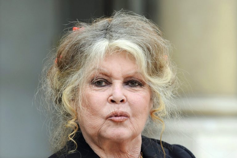France 2 : Brigitte Bardot devient l’héroine d’une série qui raconte sa vie 