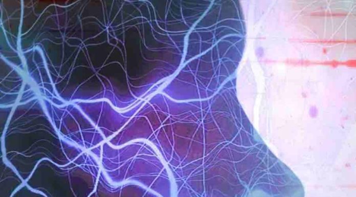 IA : le patron de Black Forest Labs appelle l’Europe à l’optimisme