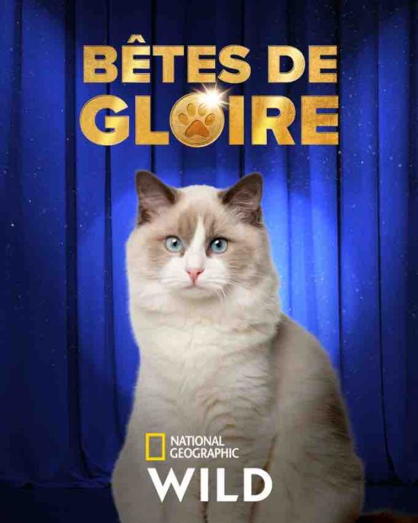 National Geographic Wild lève le voile sur les amateurs de concours d’animaux en tout genre dans la série «Bêtes de gloire» à partir du 24 avril