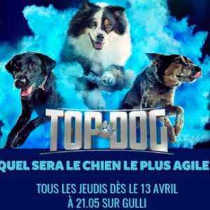 Gulli : la compétition canine «Top Dog» débarque en France dès le 13 avril sur Gulli PRIME