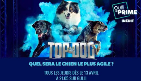Gulli : la compétition canine «Top Dog» débarque en France dès le 13 avril sur Gulli PRIME