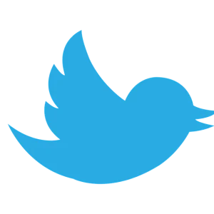 Droits voisins: Le Monde, Le Figaro et Le Parisien-Les Echos assignent Twitter en justice