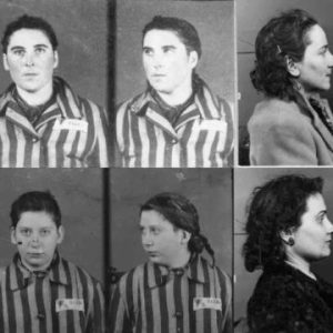 HISTOIRE TV : le documentaire inédit «Matricule 31000, le courage des ombres» mardi 30 mai à 20h50