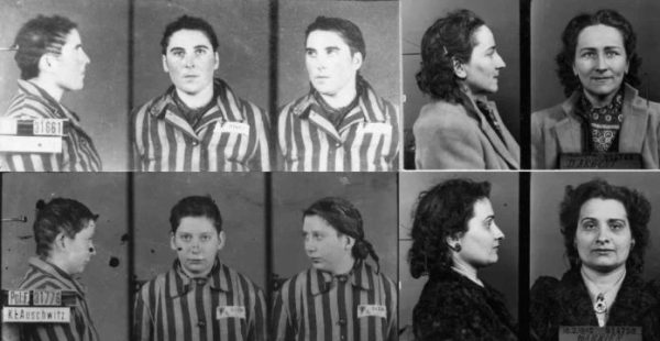 HISTOIRE TV : le documentaire inédit «Matricule 31000, le courage des ombres» mardi 30 mai à 20h50