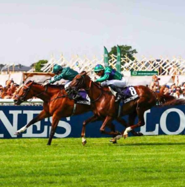 M6 : le Prix de Diane Longines en direct dimanche 18 juin