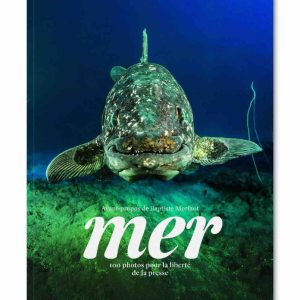 RSF : le nouvel album «100 photos pour la liberté de la presse - La mer vue par les plus grands photographes» dès ce jeudi 8 juin