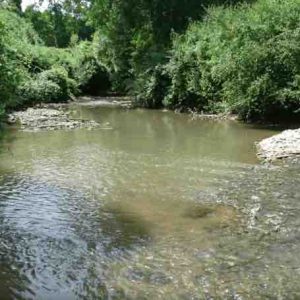 BFM Paris Île-de-France délocalisée au salon de l’eau à Meaux en Seine-et-Marne ce vendredi 22 septembre