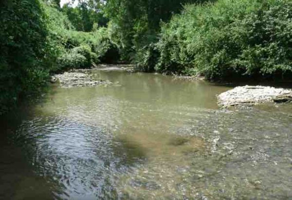 BFM Paris Île-de-France délocalisée au salon de l’eau à Meaux en Seine-et-Marne ce vendredi 22 septembre
