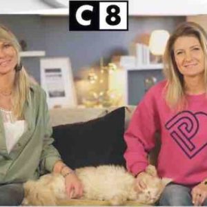 C8 : «Animaux à adopter, nouvelle famille pour une nouvelle vie», nouvelle saison inédite dès le 10 septembre