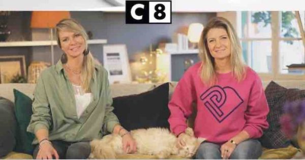 C8 : «Animaux à adopter, nouvelle famille pour une nouvelle vie», nouvelle saison inédite dès le 10 septembre