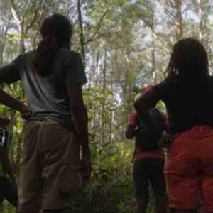 France Télévisions : l’inédit «Au bout de la forêt, l’espoir» sur France 3 et La1ere.fr le 9 octobre