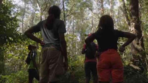France Télévisions : l’inédit «Au bout de la forêt, l’espoir» sur France 3 et La1ere.fr le 9 octobre