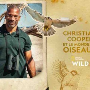 National Geographic Wild: la série documentaire «Christian Cooper et le monde des oiseaux» dès le 9 septembre à 18h20