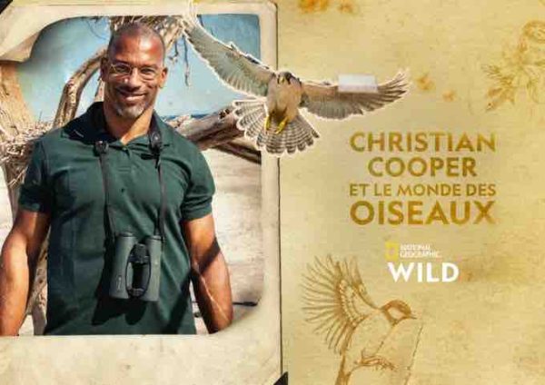 National Geographic Wild: la série documentaire «Christian Cooper et le monde des oiseaux» dès le 9 septembre à 18h20
