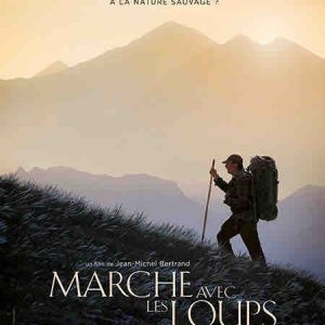 ARTE/ GEDEON Media Group : le long-métrage «Marche avec les loups» de Jean-Michel Bertrand, samedi 14 octobre à 20h50