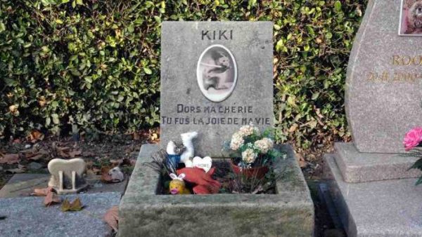 ARTE : la série documentaire de Pauline Horovitz, «Ma guerre des mondes» dès le 21 novembre sur arte.tv, YouTube et les chaînes sociales d’ARTE