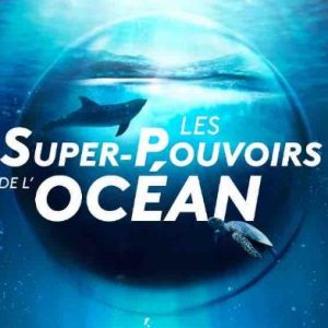 France 2 : «Les super-pouvoirs de l’Océan» présenté par Léa Salamé et Hugo Clément mardi 28 novembre