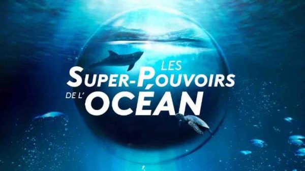 France 2 : «Les super-pouvoirs de l’Océan» présenté par Léa Salamé et Hugo Clément mardi 28 novembre