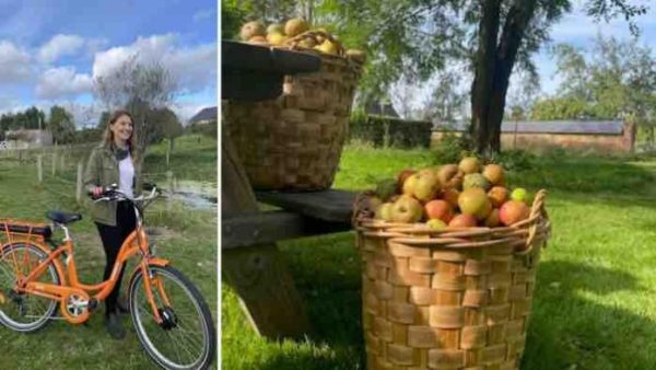 France 3 Normandie : succès pour l’émission «Petite histoire de la pomme en Normandie»