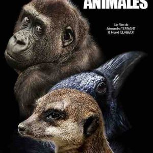 GEDEON Media Group/ «Cultures Animales» : un nouveau numéro en tournage en Afrique du Sud