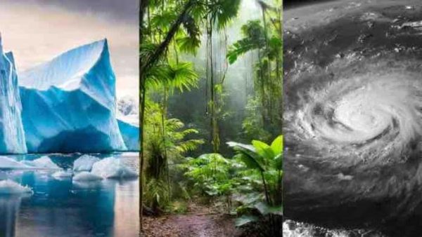 Le pôle Outre-mer de France Télévisions se mobilise pour le climat