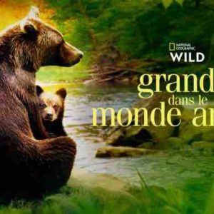 National Geographic Wild : la série documentaire «Grandir dans le monde animal» dès le vendredi 12 janvier